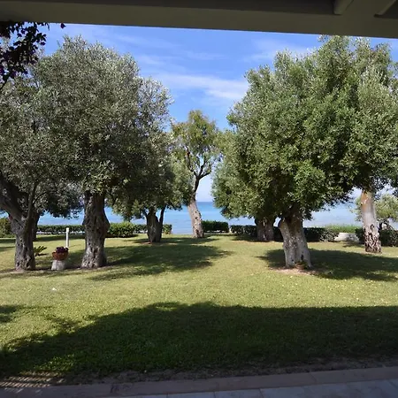 Anemi