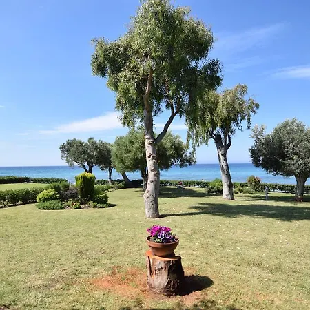 Anemi * Nea Skioni