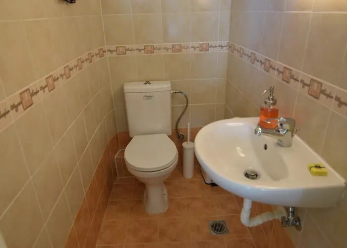 Anemi 尼尔斯吉尼