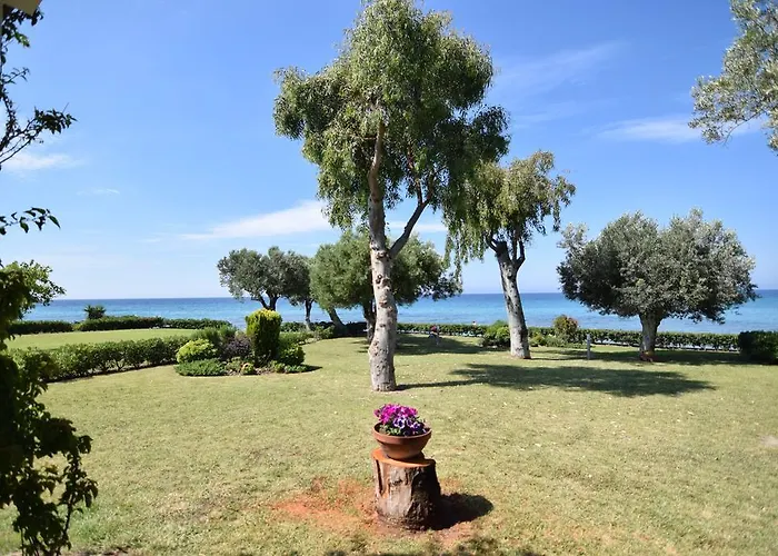 Anemi * 尼尔斯吉尼