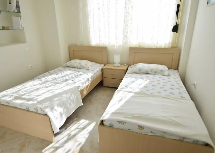 Anemi 尼尔斯吉尼