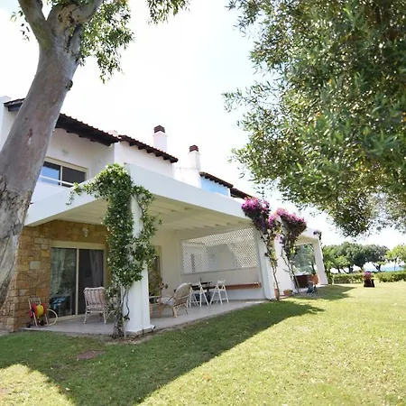 Anemi نيا سكيوني